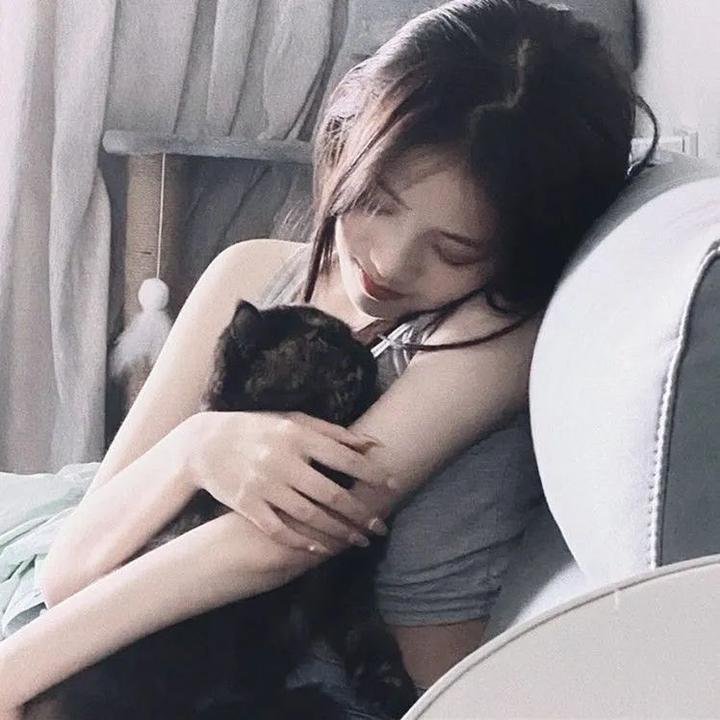 猎犬强盗 海报