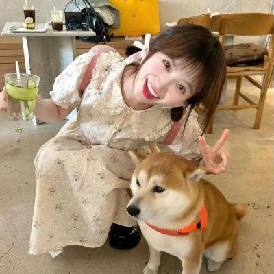 天道王 海报