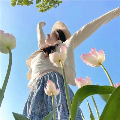 女子戏班 海报